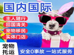 固原六盘山机场空运国际宠物托运 【国